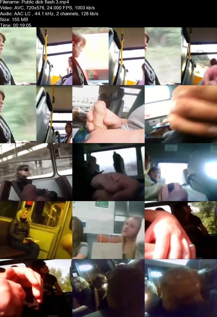 Эксгибиционист дрочит в автобусе